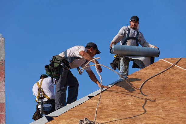 Best Local Roofing Companies  in Heeia, HI